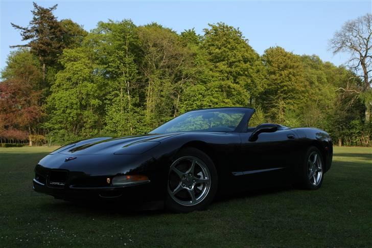 Chevrolet Corvette C5 billede 3