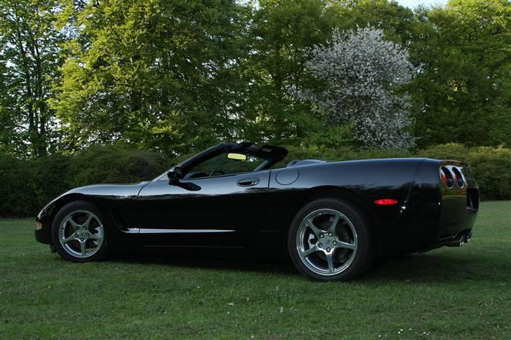 Chevrolet Corvette C5 billede 4