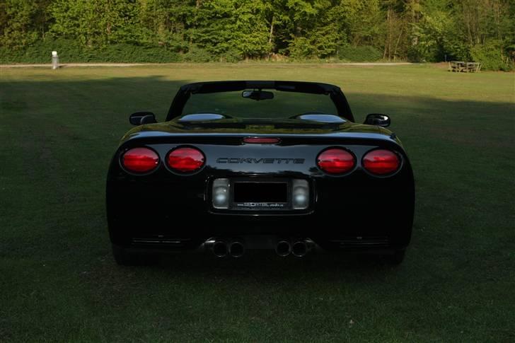 Chevrolet Corvette C5 billede 5