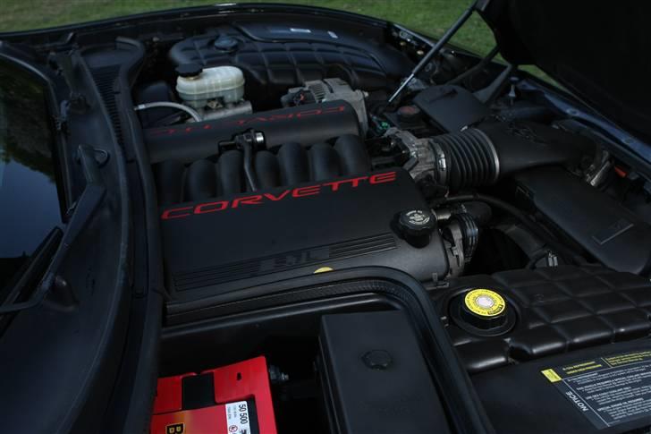 Chevrolet Corvette C5 billede 10