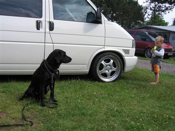 VW Transporter 2,5 TDI billede 11