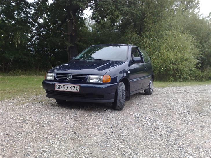 VW Polo 6N  billede 2