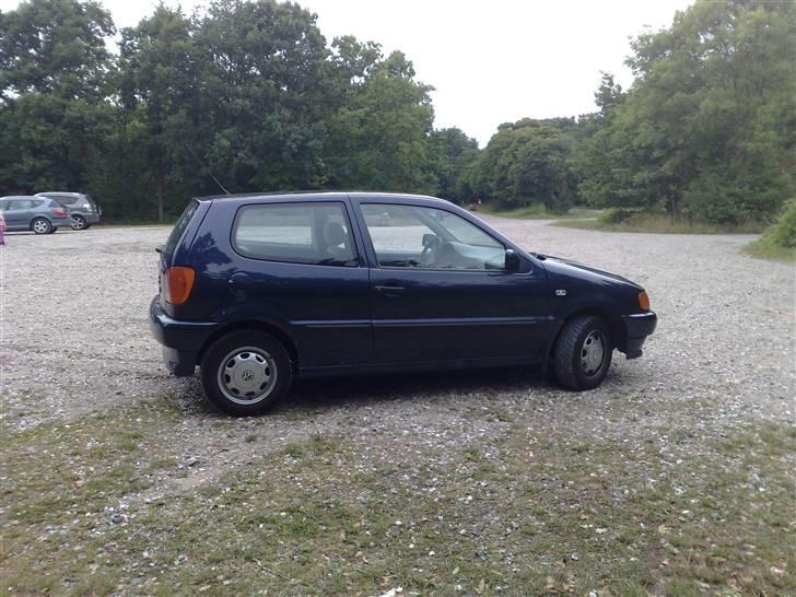 VW Polo 6N  billede 5