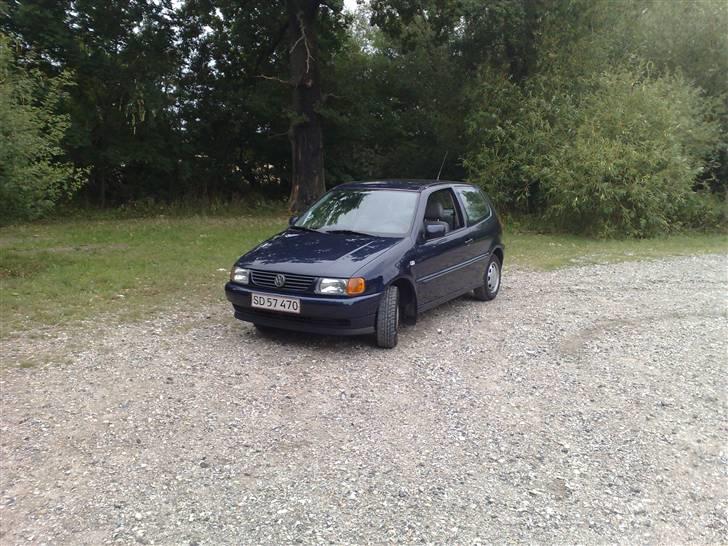 VW Polo 6N  billede 14