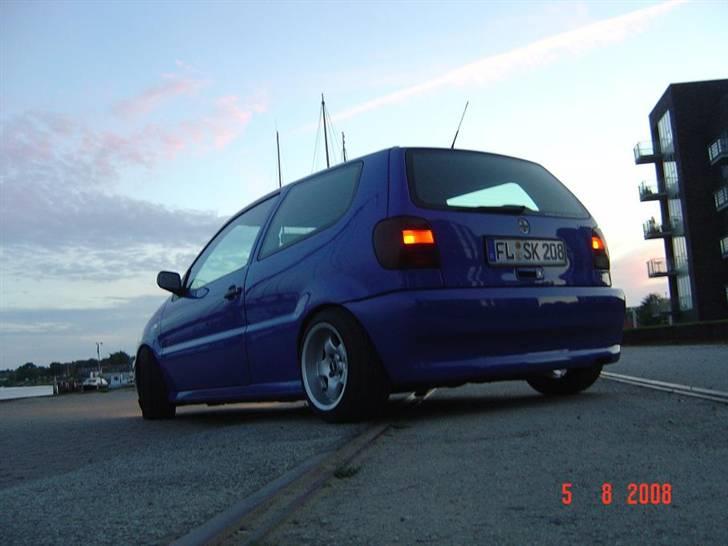 VW Polo Colour Concept billede 12