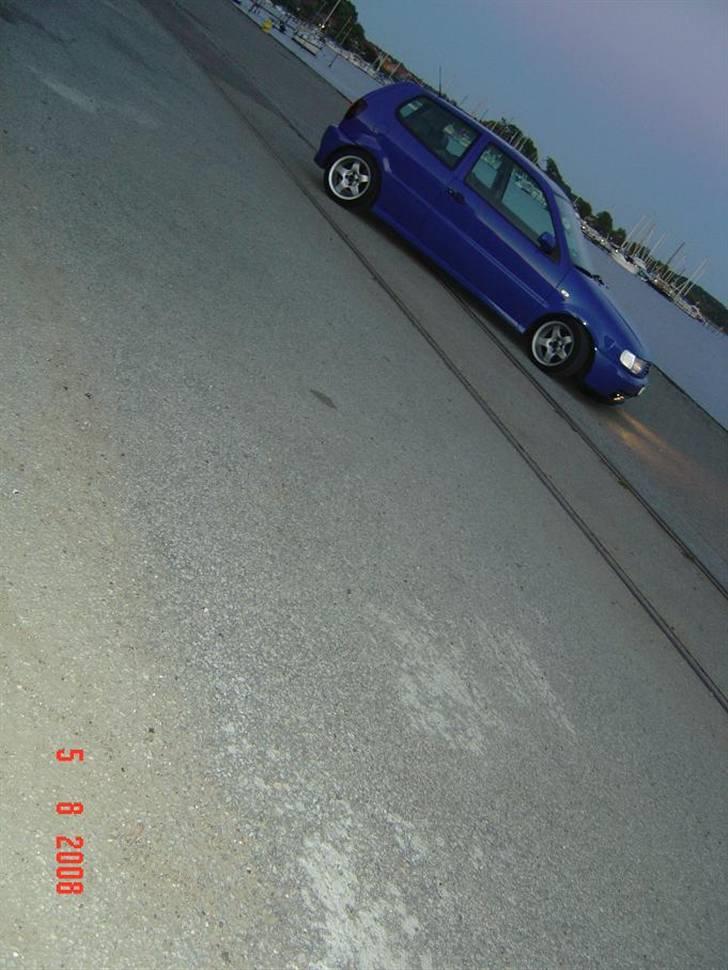 VW Polo Colour Concept billede 14