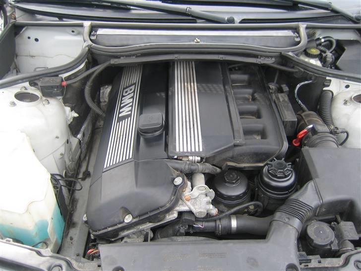 BMW E46 320i Læder billede 10