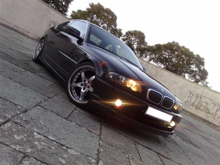 BMW E46 320ci 2,2 Coupé SOLGT - tåge og posi... billede 8