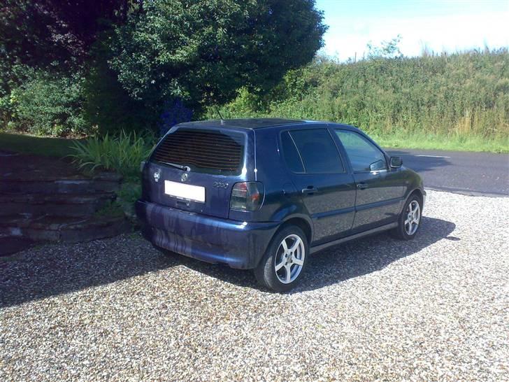 VW polo 6n billede 12