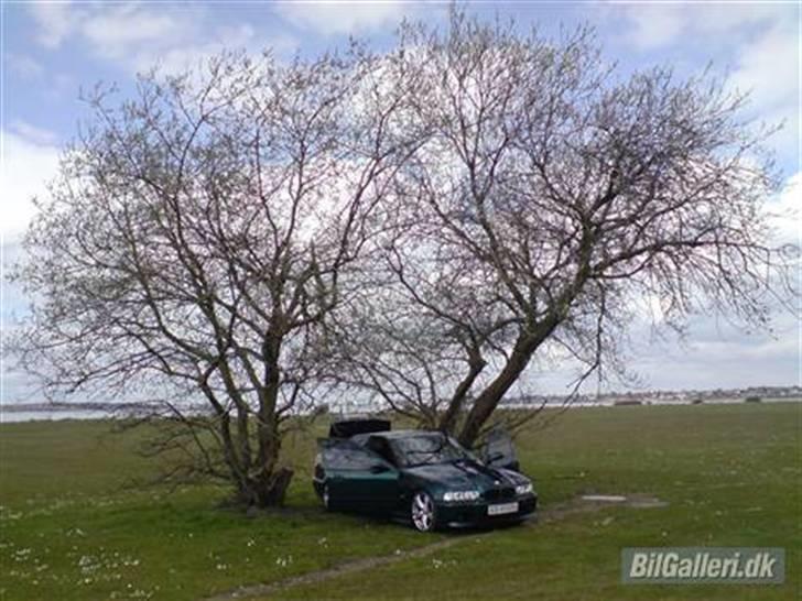 BMW bmw e36 SOLGT billede 6