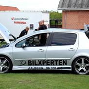 Peugeot 307 RC R.I.P