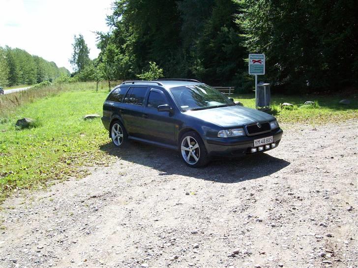 Skoda Octavia stcar billede 3