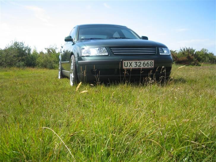 VW Passat Turbo   † død  † billede 7