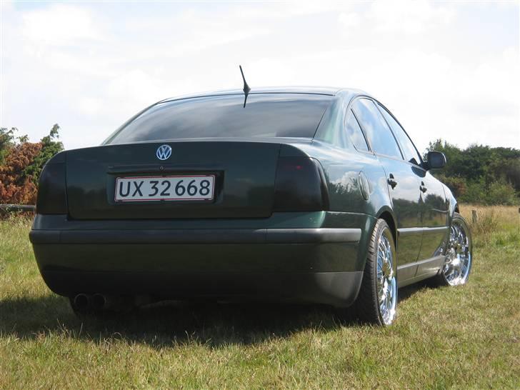 VW Passat Turbo   † død  † billede 10