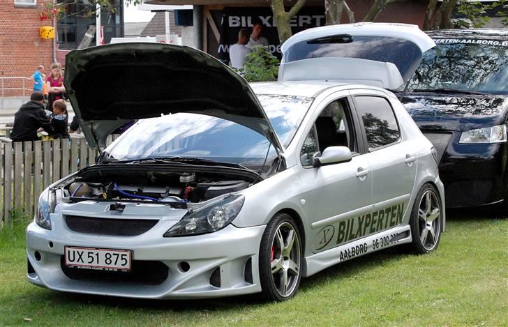 Peugeot 307 RC R.I.P - En familievogn kan blive fed billede 1