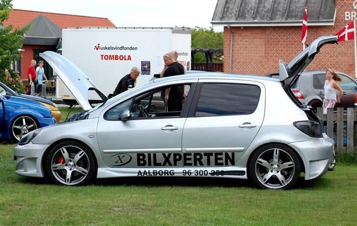 Peugeot 307 RC R.I.P billede 3