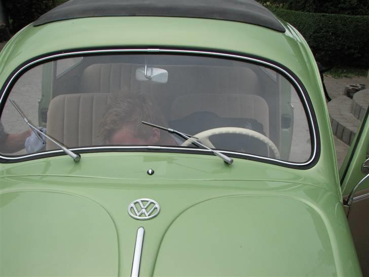 VW Bobbel billede 14