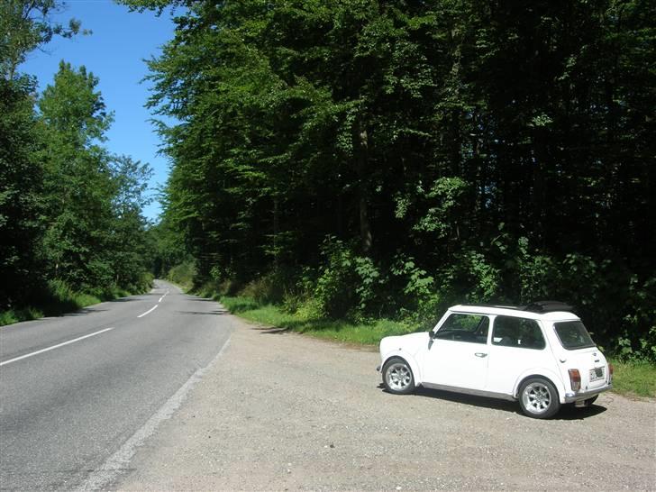 Mini Mascot 1000 *SOLGT* billede 3