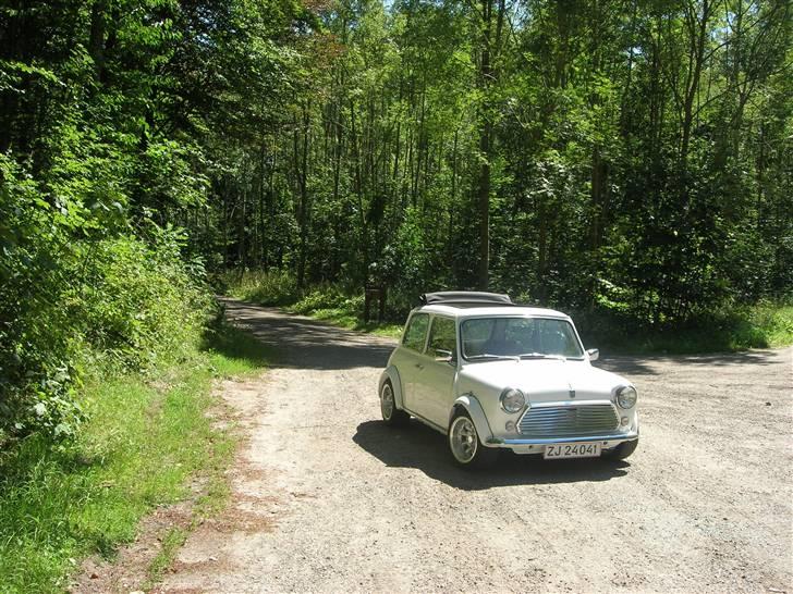 Mini Mascot 1000 *SOLGT* billede 7