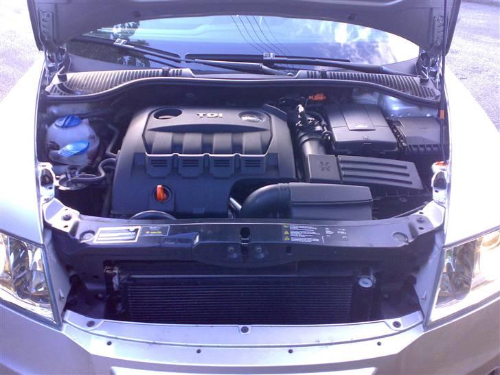 Skoda octavia RS 2,0 TDI - 11) Gad vide om der ligger en motor gemt der, eller hva er det mon der siger brum-brum?? billede 11