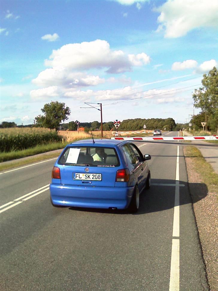 VW Polo Colour Concept billede 16