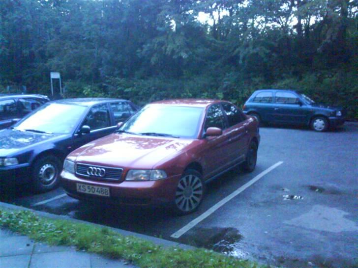 Audi A4 SOLGT billede 13