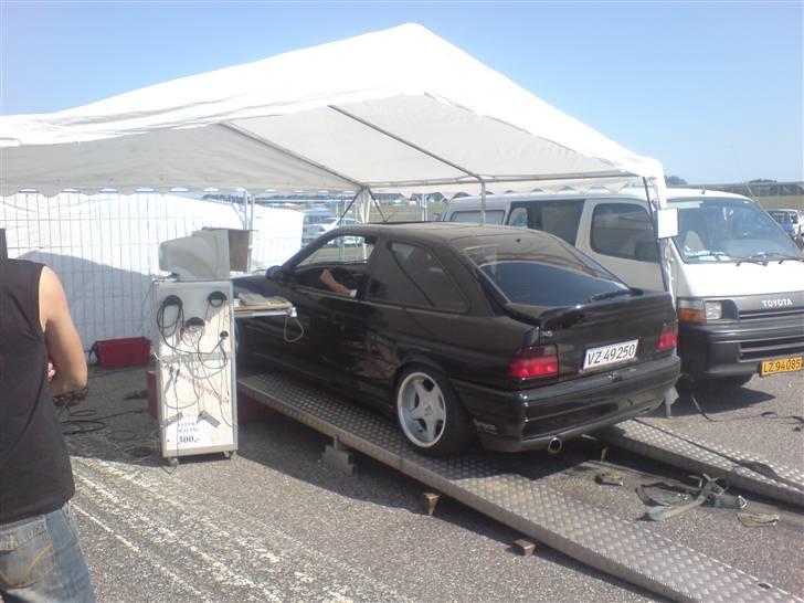 Ford Escort RS2000 - på rullefelt til DHB 08..   billede 8