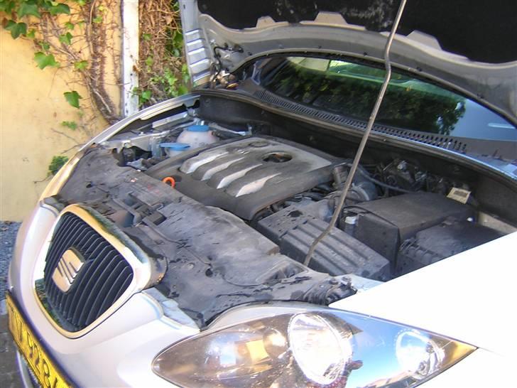 Seat Altea billede 6