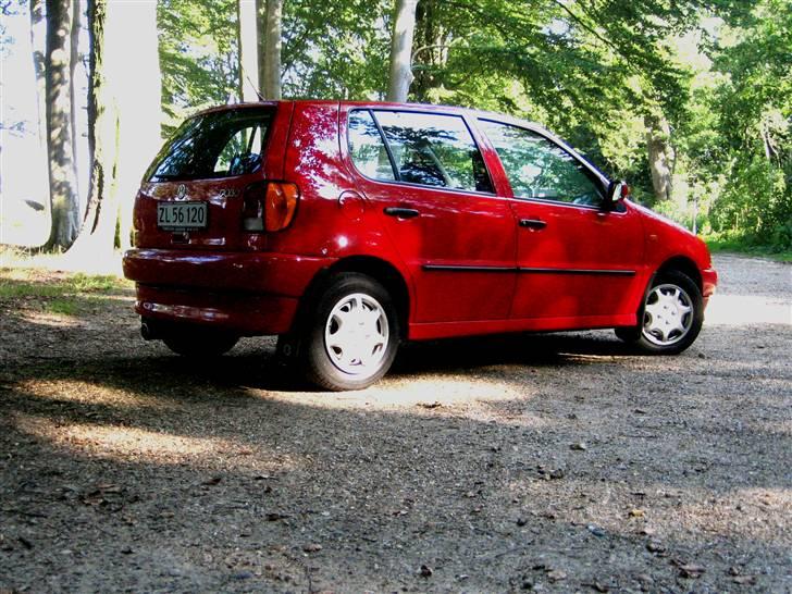 VW polo 6n billede 2