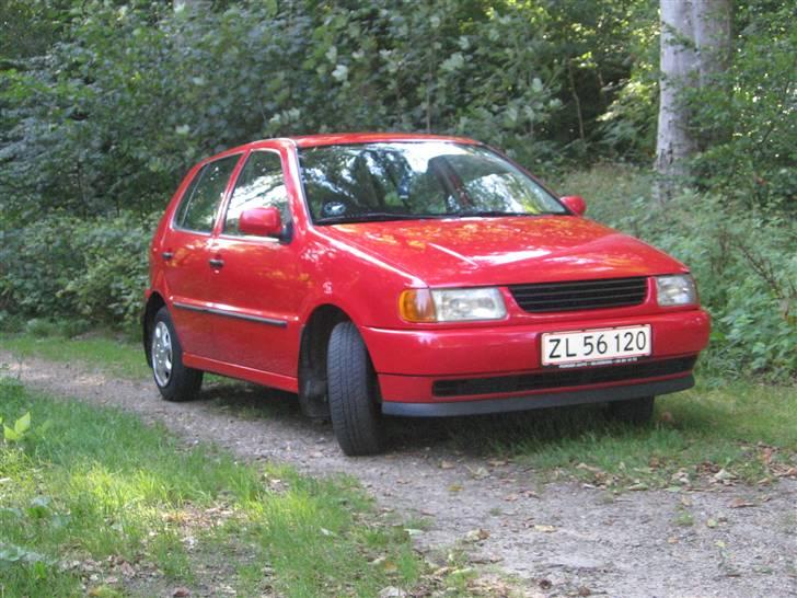 VW polo 6n billede 5