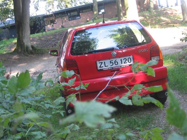 VW polo 6n billede 6