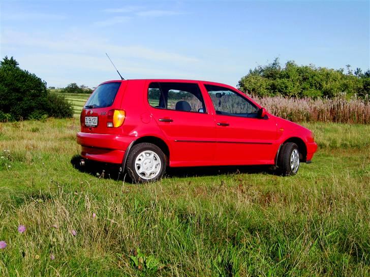 VW polo 6n billede 7