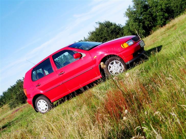 VW polo 6n billede 8