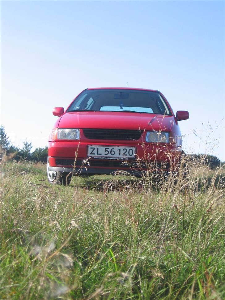 VW polo 6n billede 9