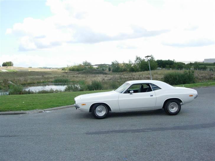 Dodge Challenger billede 8