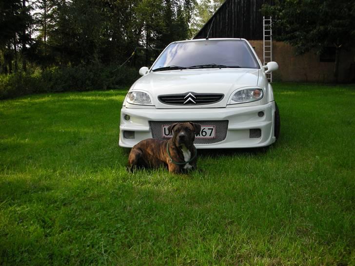 Citroën saxo (SOLGT) billede 1