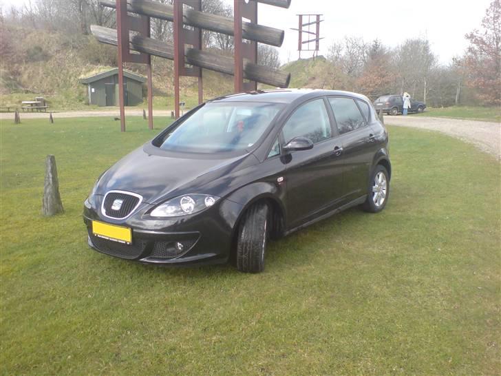 Seat Altea billede 1
