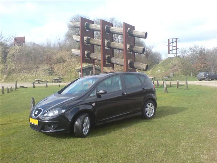 Seat Altea billede 2