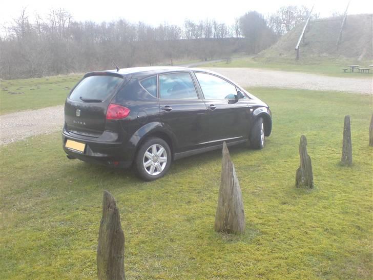 Seat Altea billede 4