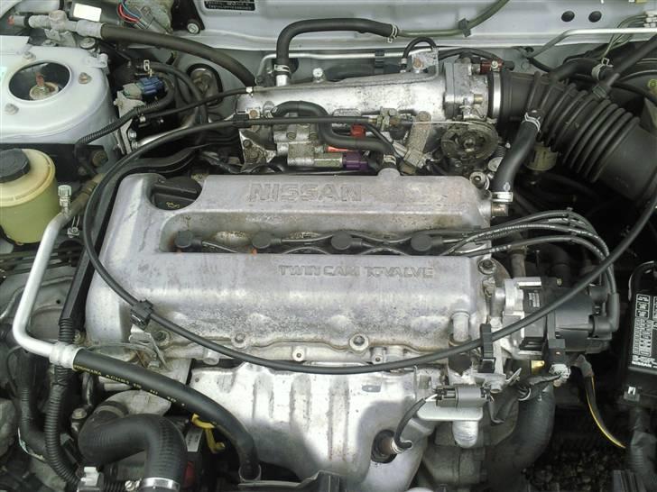 Nissan Primera SE billede 5