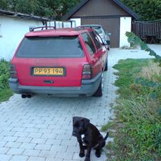 VW Golf 3 Stc *SOLGT*