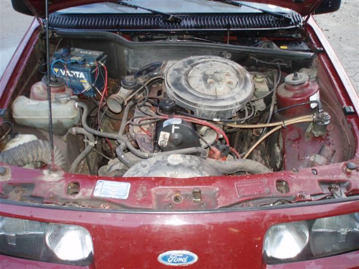 Ford Sierra -  død billede 6