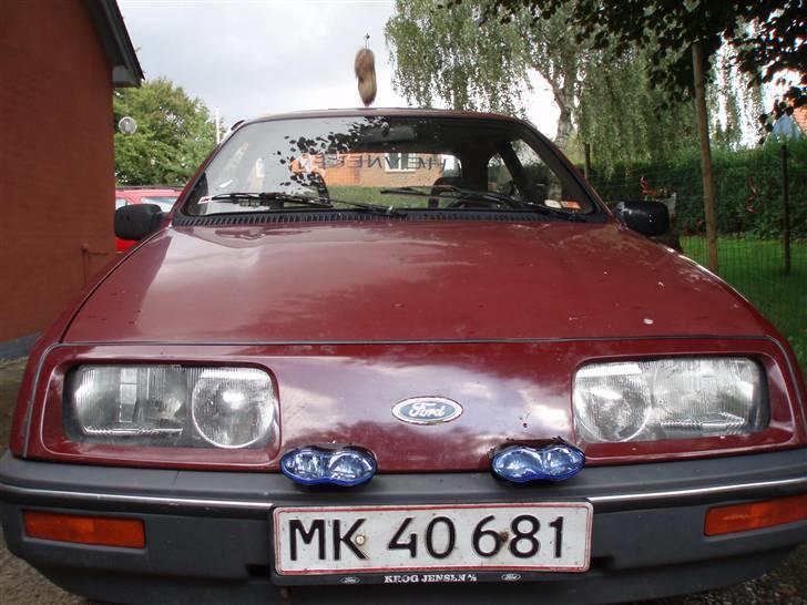 Ford Sierra -  død billede 9