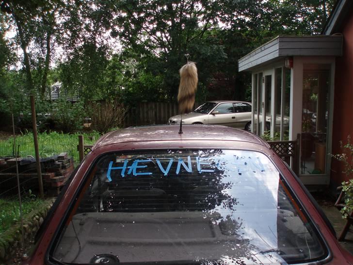 Ford Sierra -  død billede 10