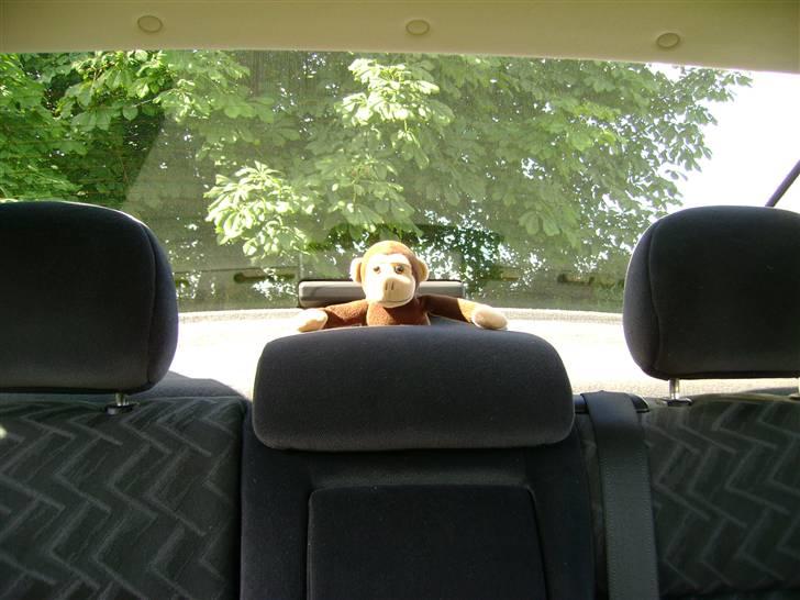 Opel vectra B comfort 1,8 16v   TIL SALG - det er min KO driver:)     NYT billed billede 18