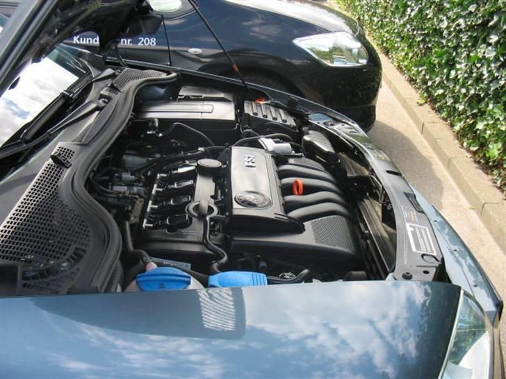 Skoda octavia 2 - samme motor i audi/vw koster en formue billede 2