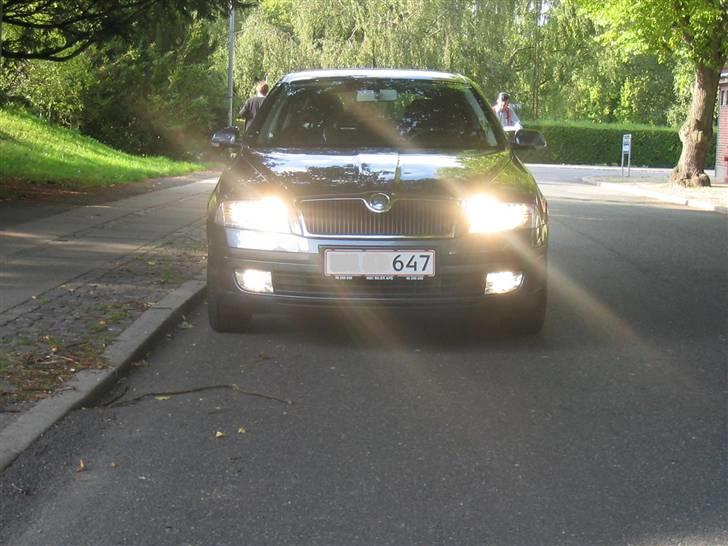 Skoda octavia 2 - lad der blive lys billede 5