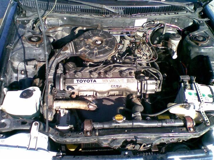 Toyota Corolla GT-S (skrottet) billede 14