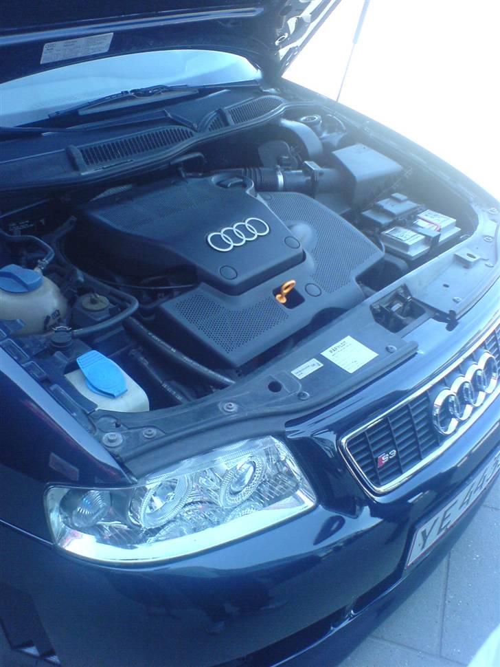 Audi A3 . billede 3