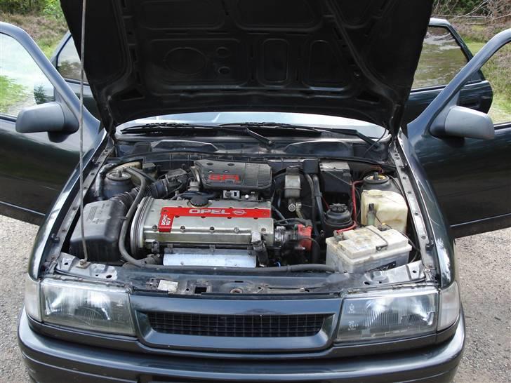 Vectra R Opel Vectra R.I.P - Billeder af biler - Uploaded af